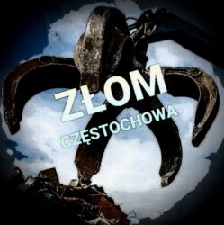 Platinum Skup Złomu Częstochowa logo