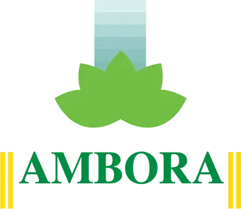 Ambora Star logo