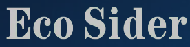 Eco Sider S.r.l. logo