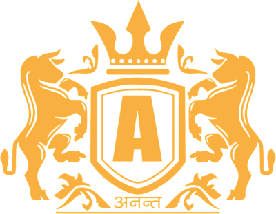 Anant International Private Limited logo