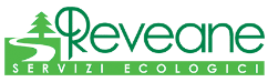 Reveane S.r.l. logo